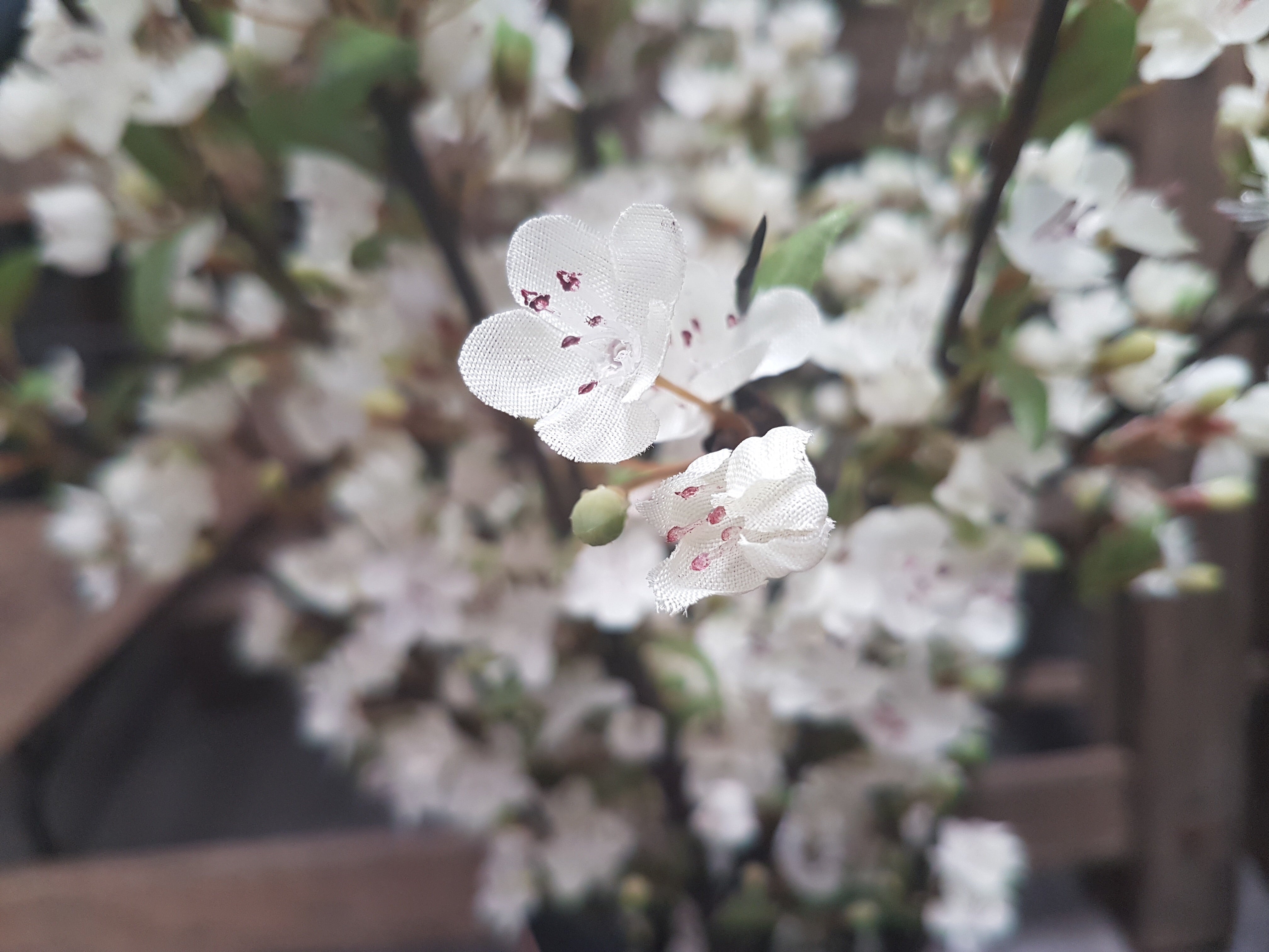 Beautiful Cherry Blossom BUNCH