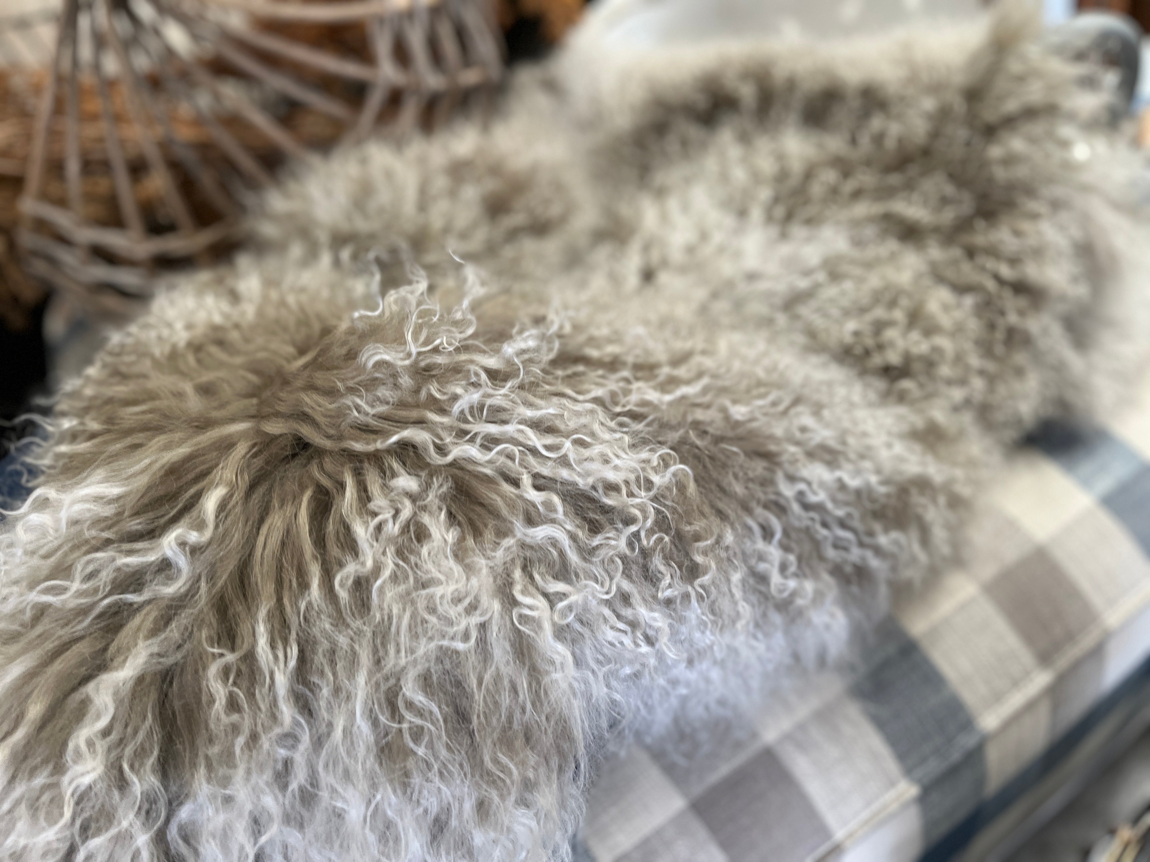 Mongolian GUM Sheepskin Rug