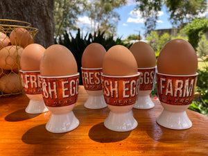 Ceramic Egg cup assorted
