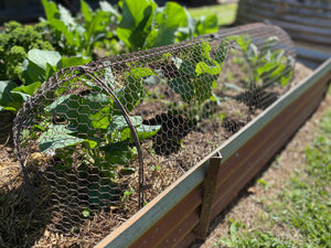 NEW Design Wire TUNNEL Cloche