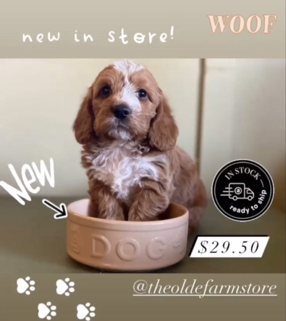 Mason Cash Cane DOG BOWL