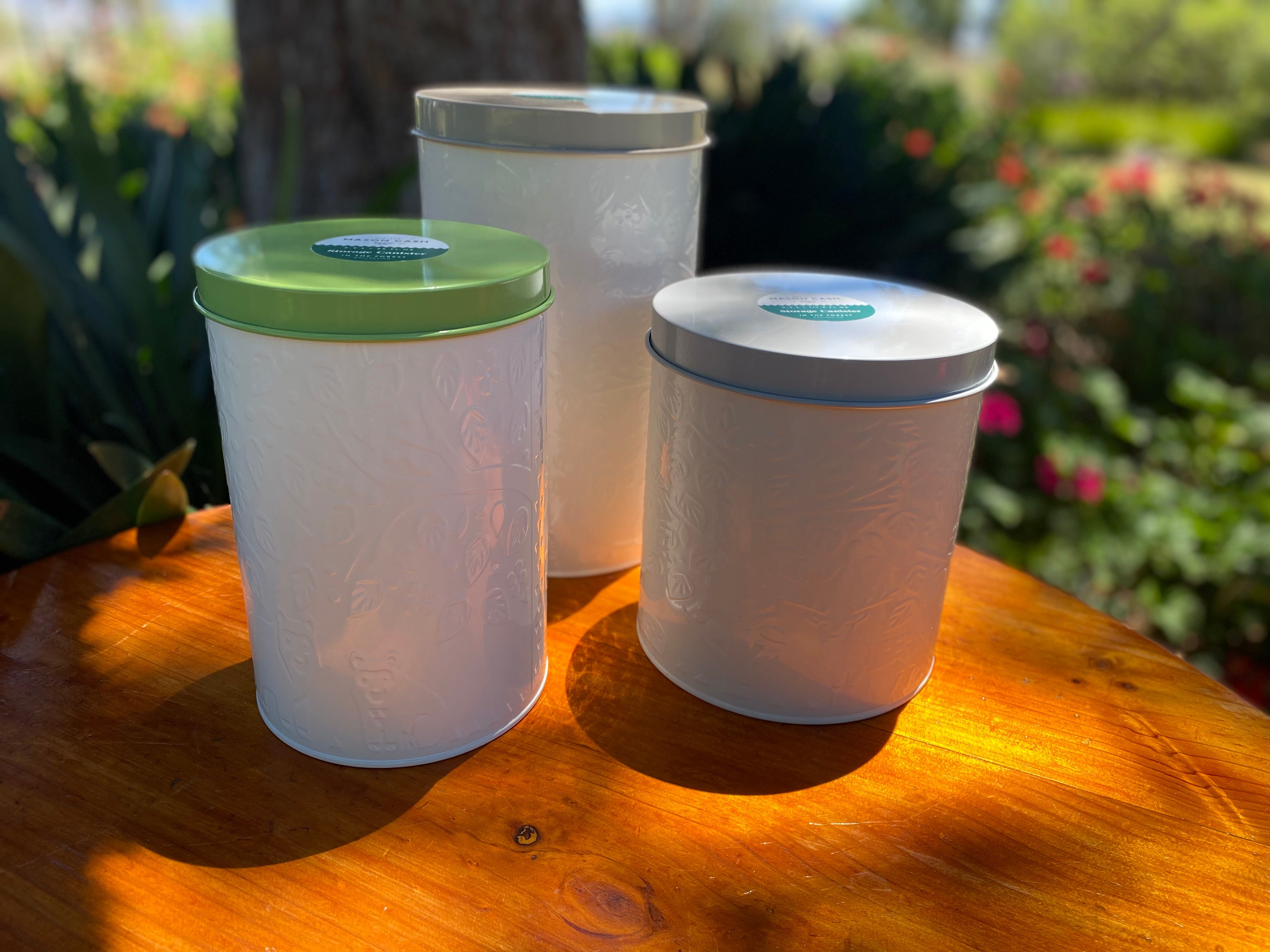 MASON  CASH FOREST Storage Canister 4.9L