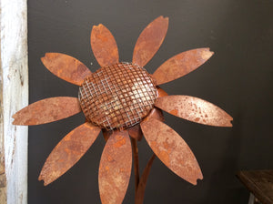 Rusty Daisy 1.2m Stake