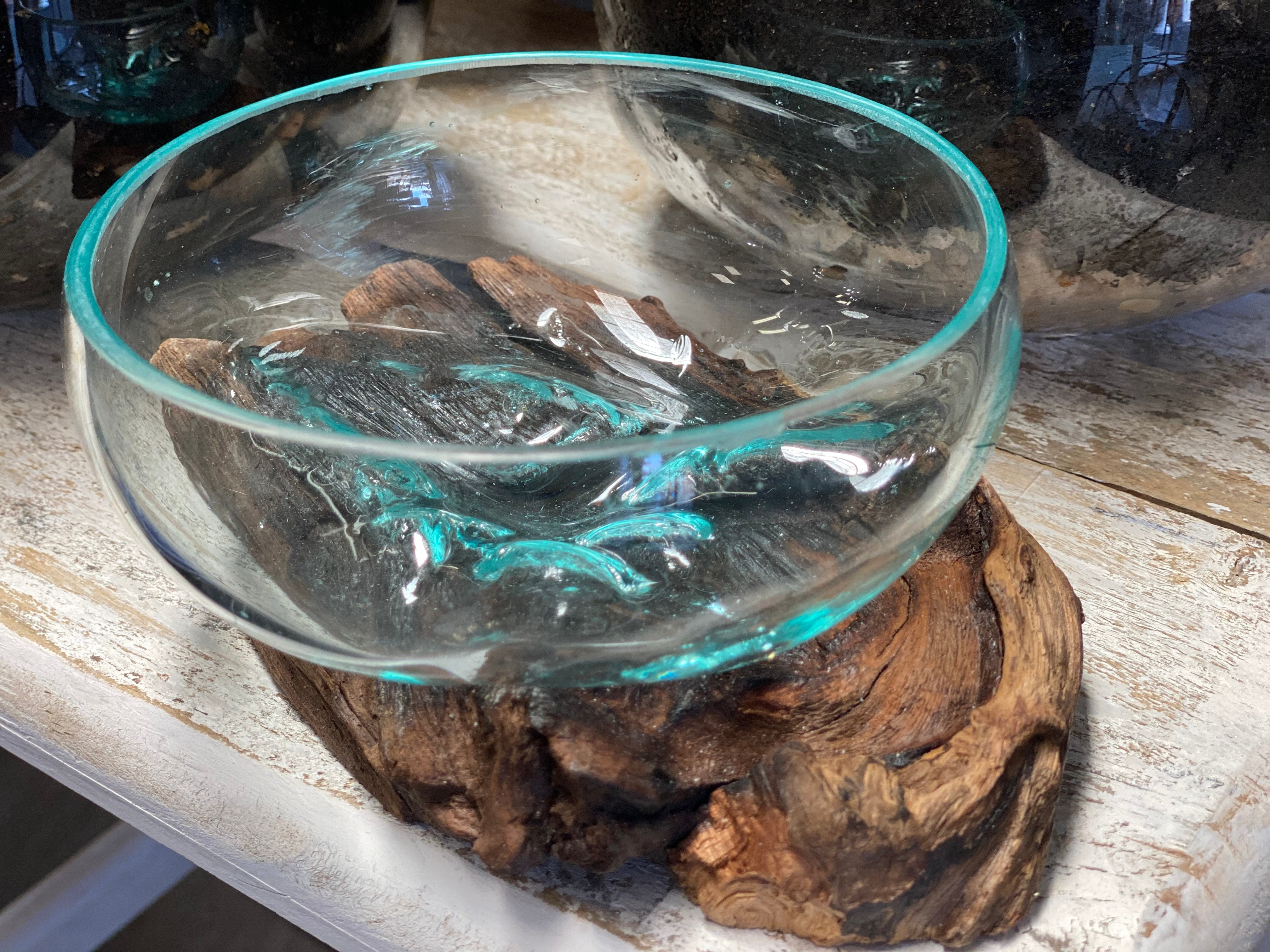 Glass Terrariums