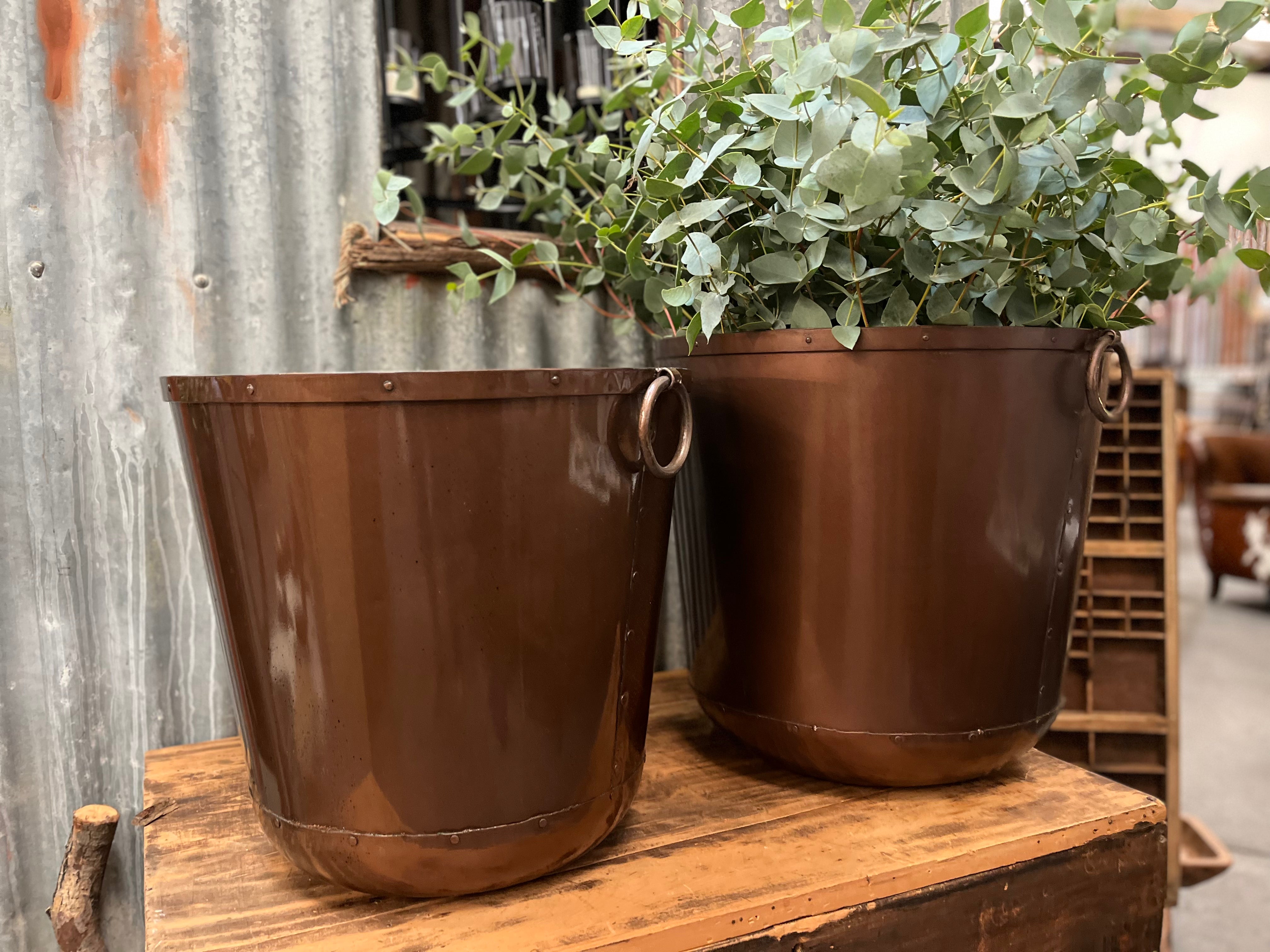 BRONZE Jumbo metal detailed Planter with rings