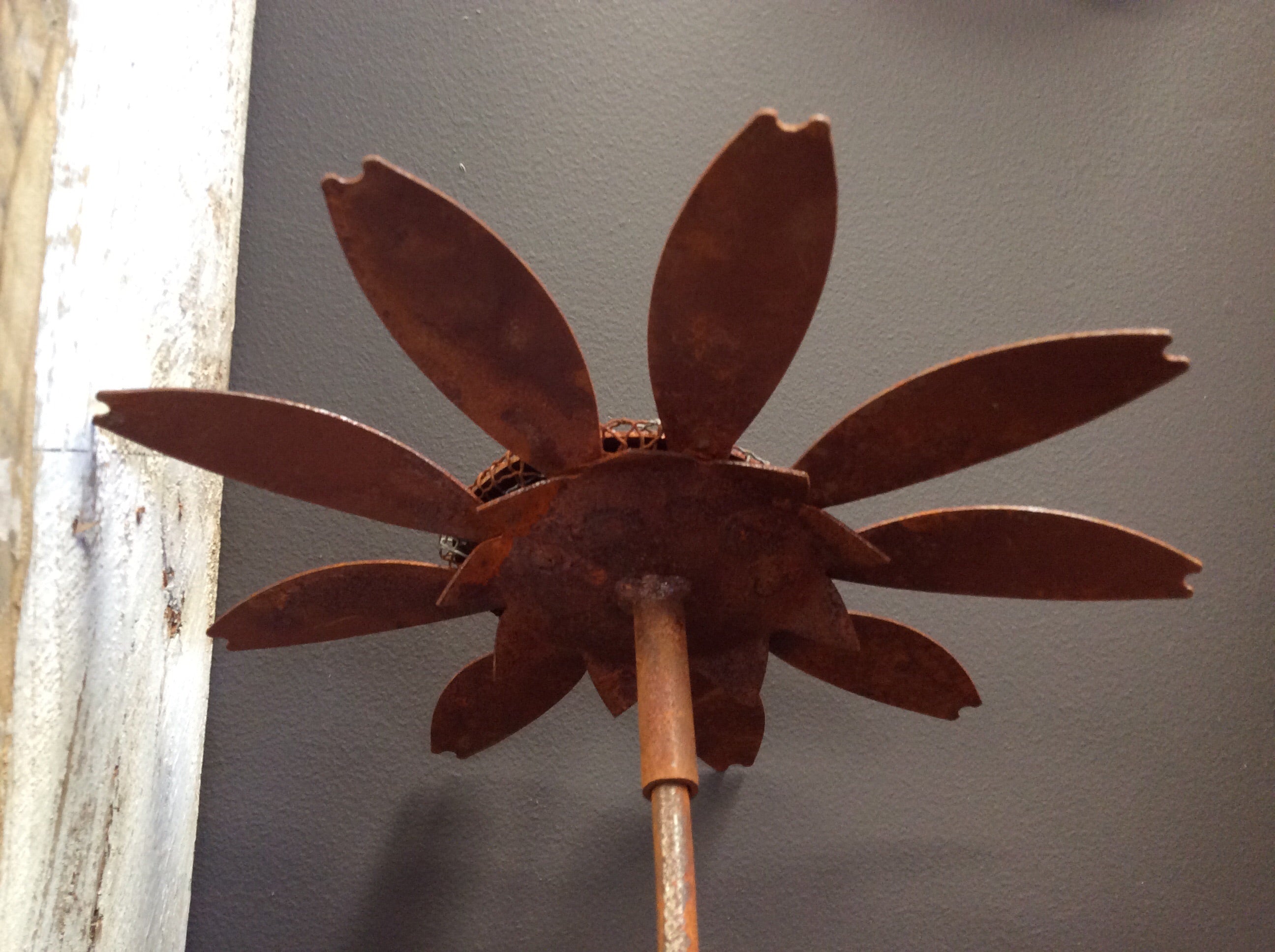 Rusty Daisy 1.2m Stake