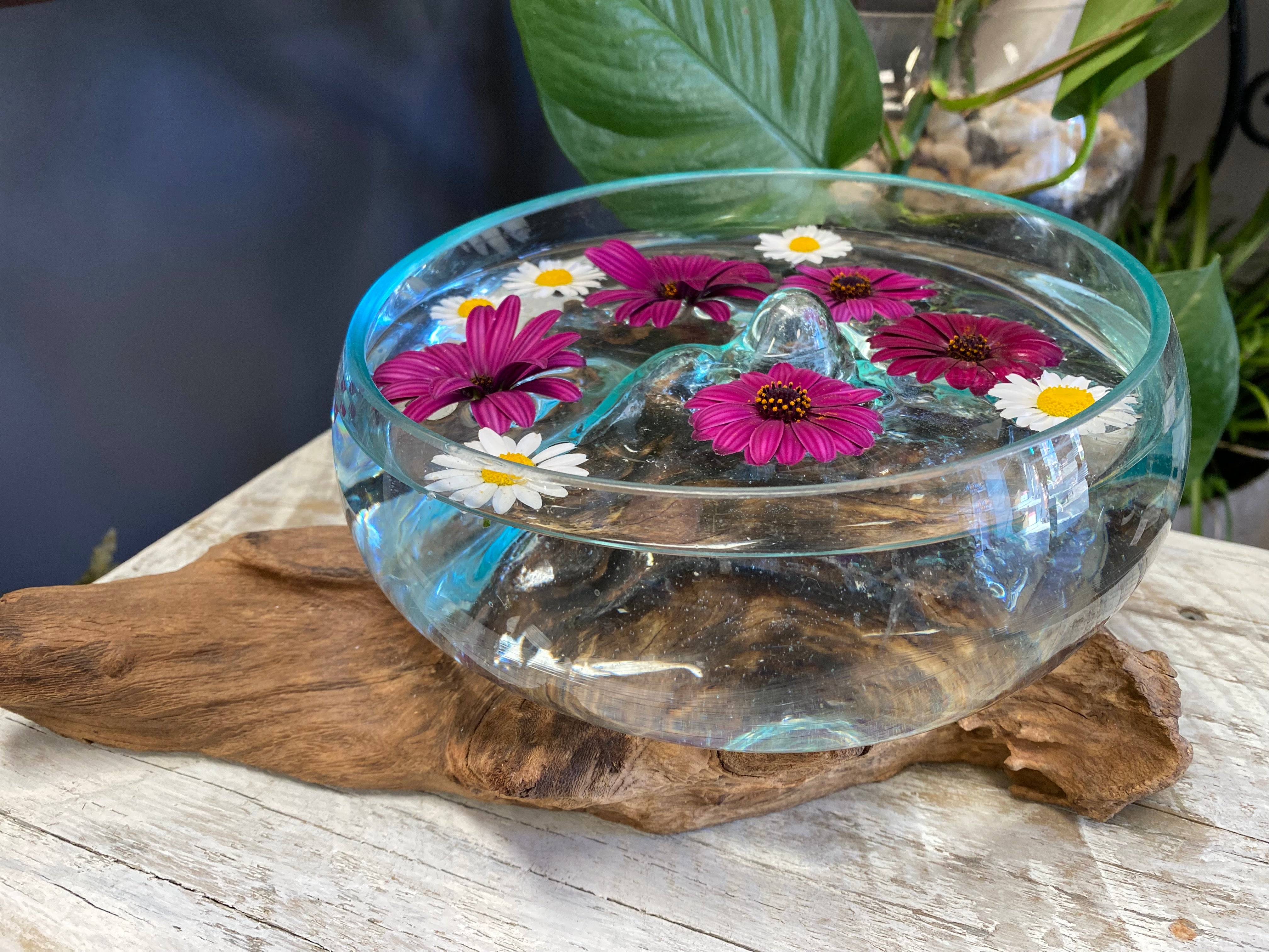 Glass Terrariums