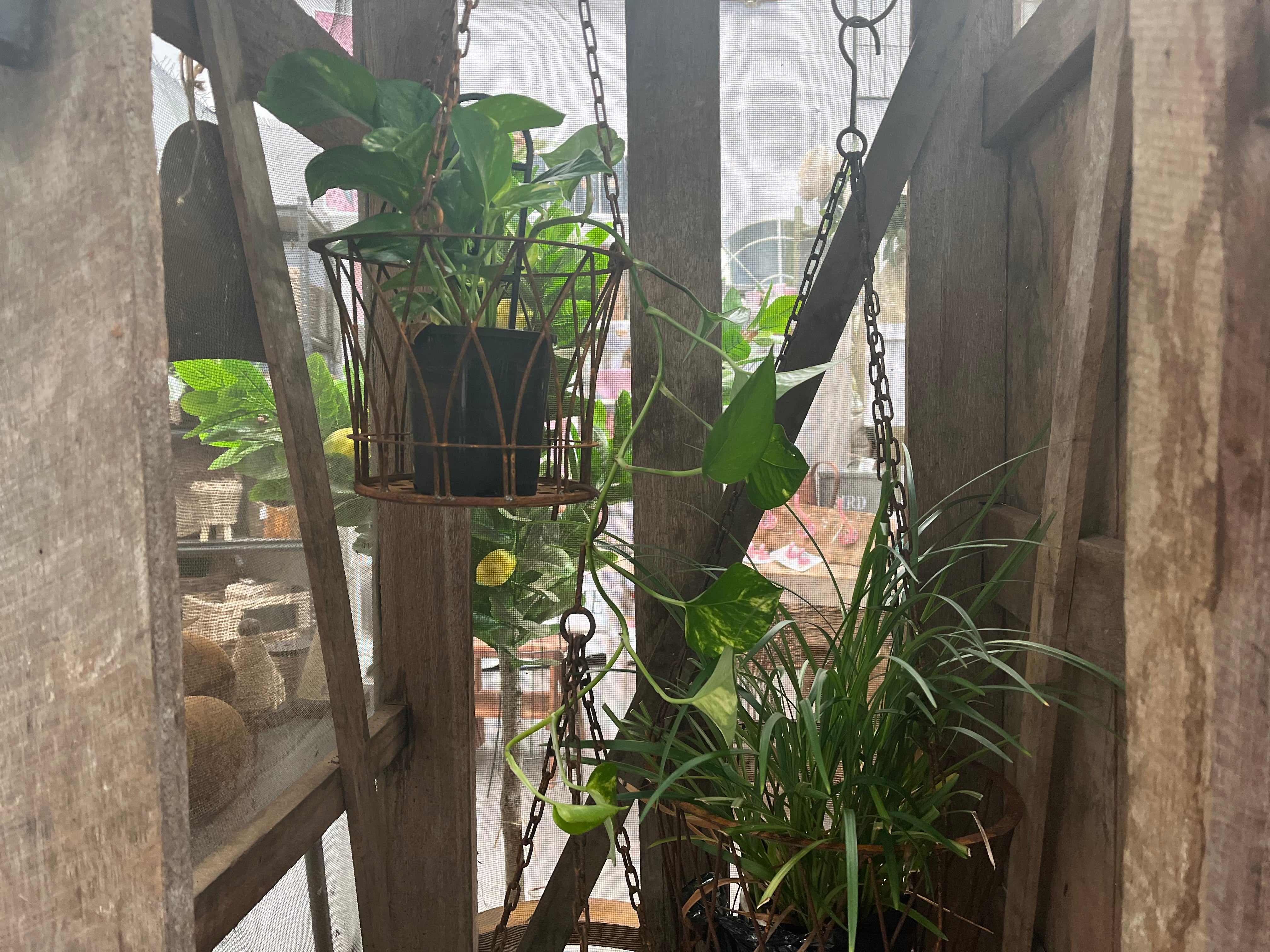 Hanging Decorative wire Basket Planter