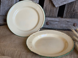 Set of 2 Vintage Enamel Plates