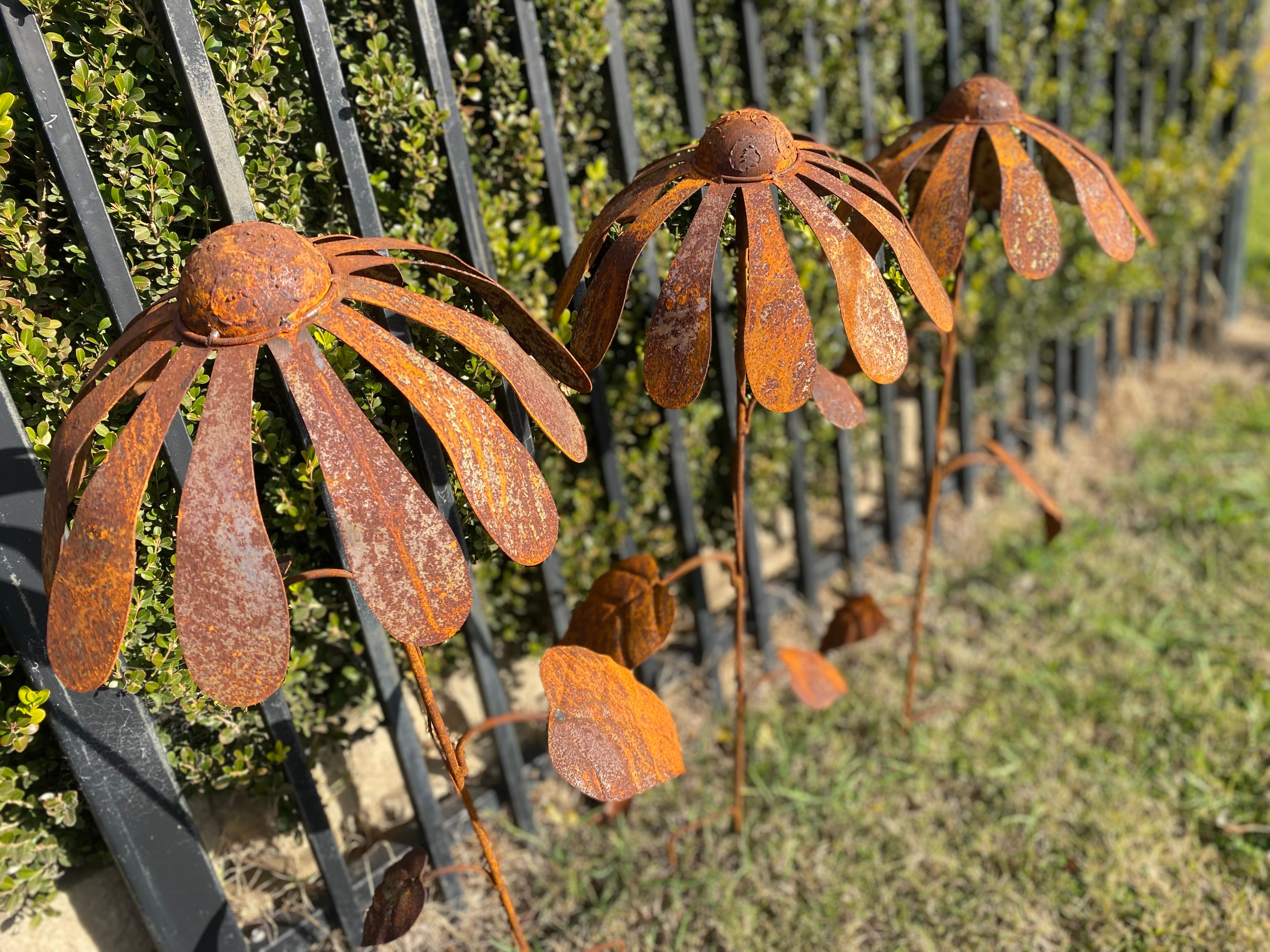 Single Large Rusty UPSY Daisy Stake