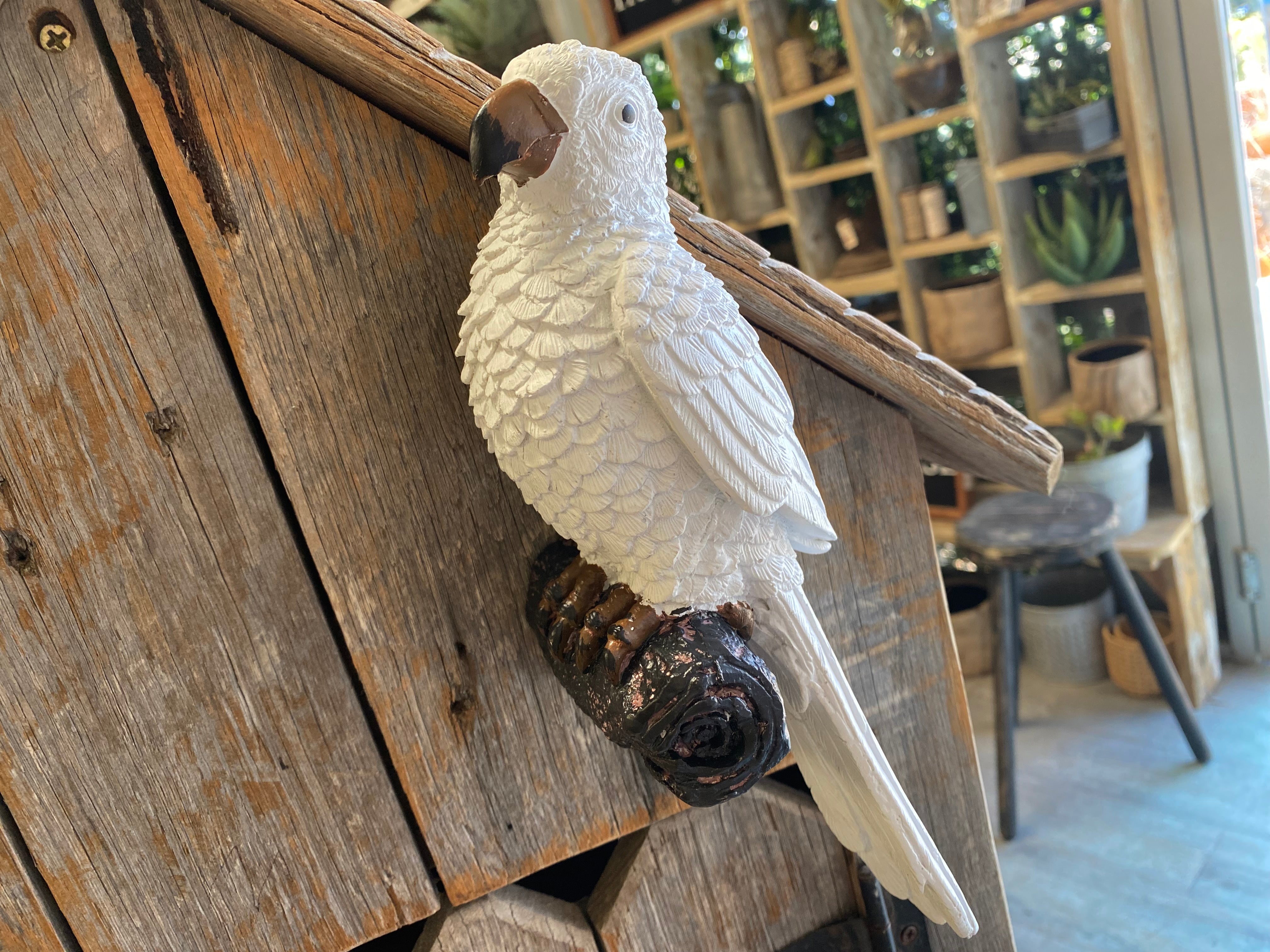 Wall mounted  PARROT