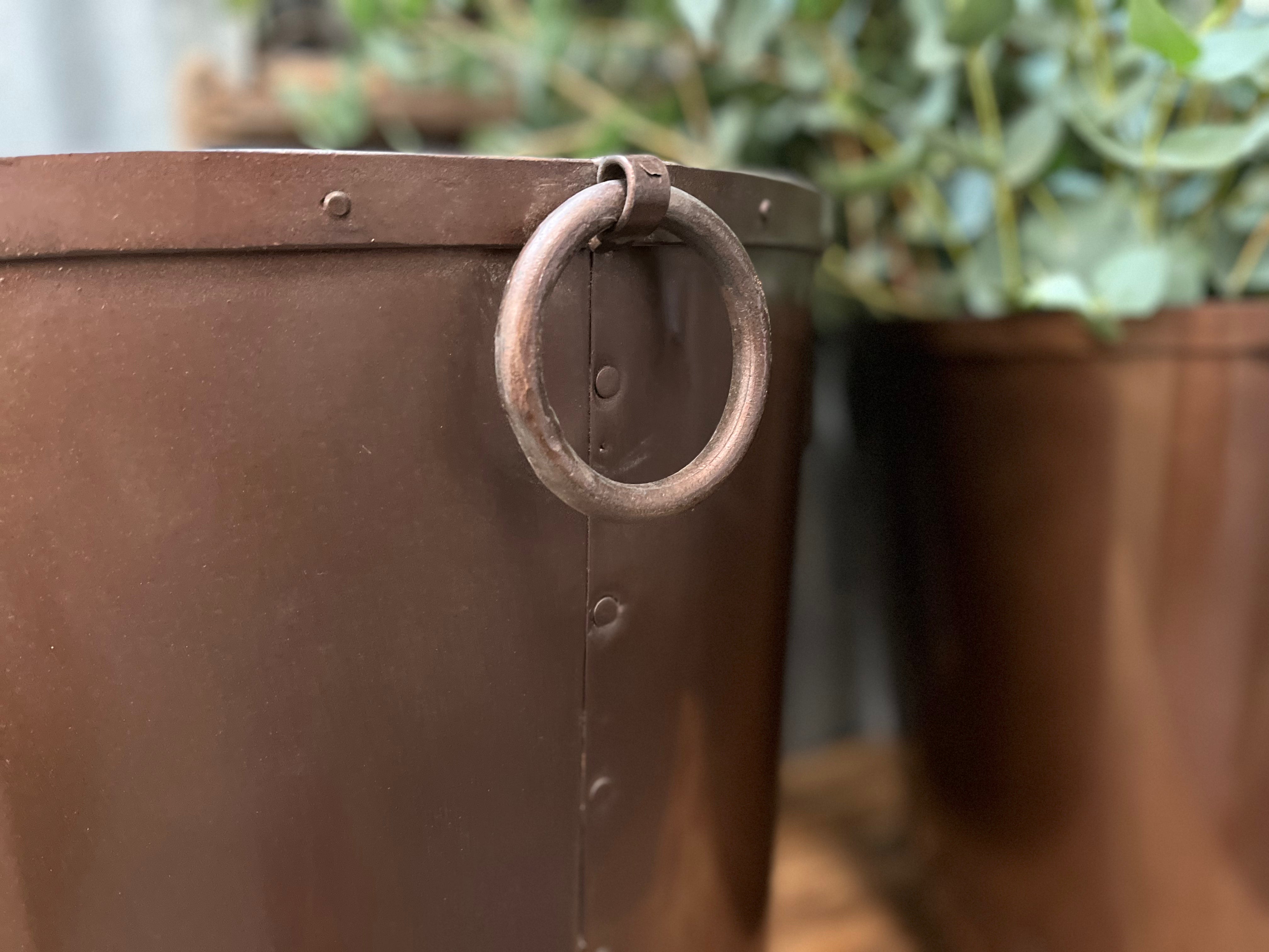 BRONZE Jumbo metal detailed Planter with rings
