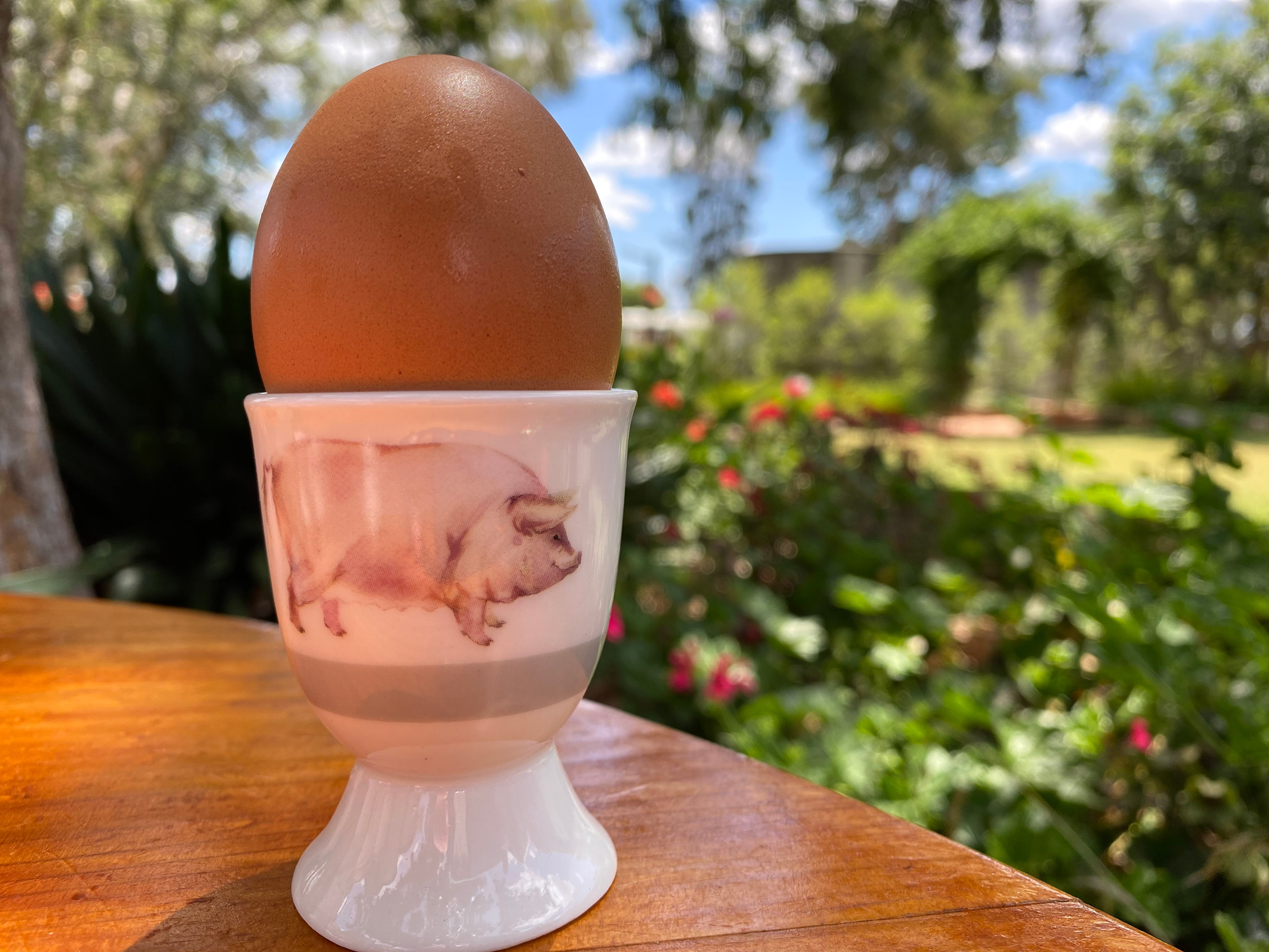 Ceramic Egg cup assorted