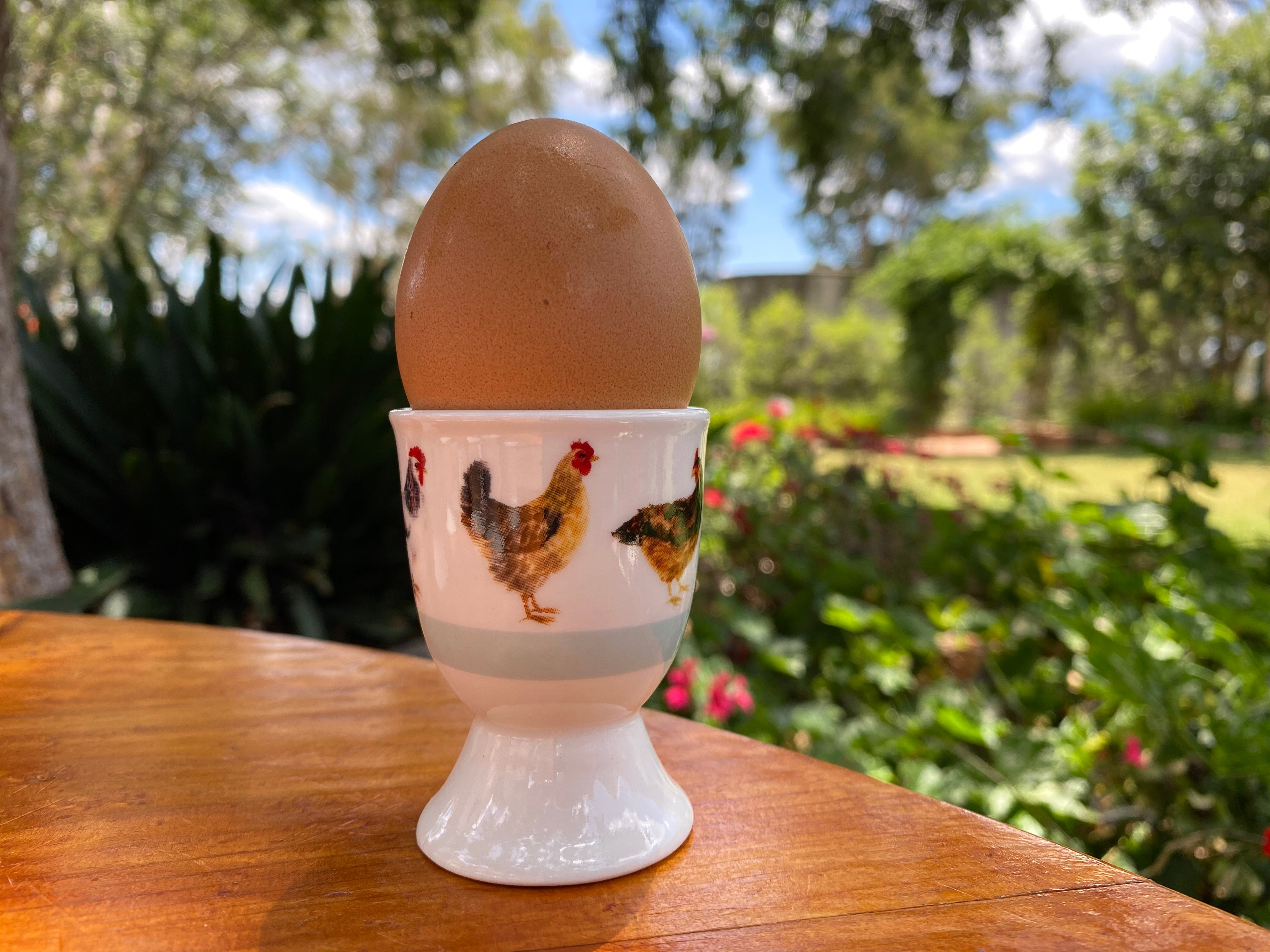 Ceramic Egg cup assorted