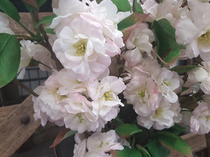 Beautiful Apple Blossom Set of 3