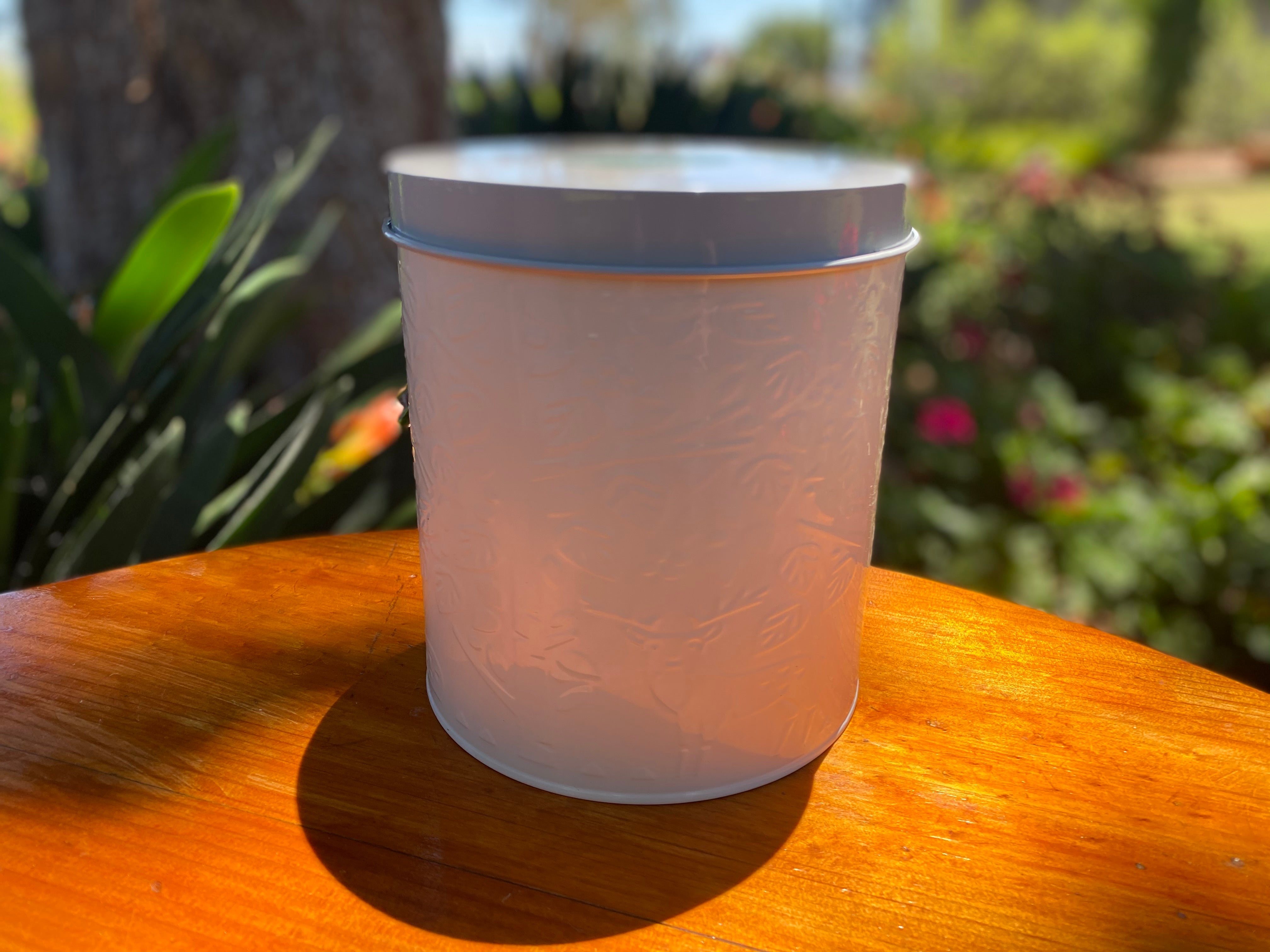 MASON  CASH FOREST Storage Canister 3.3L