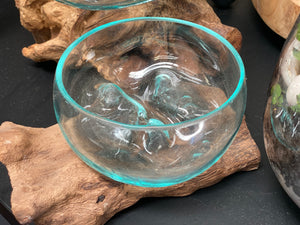 Glass Terrariums