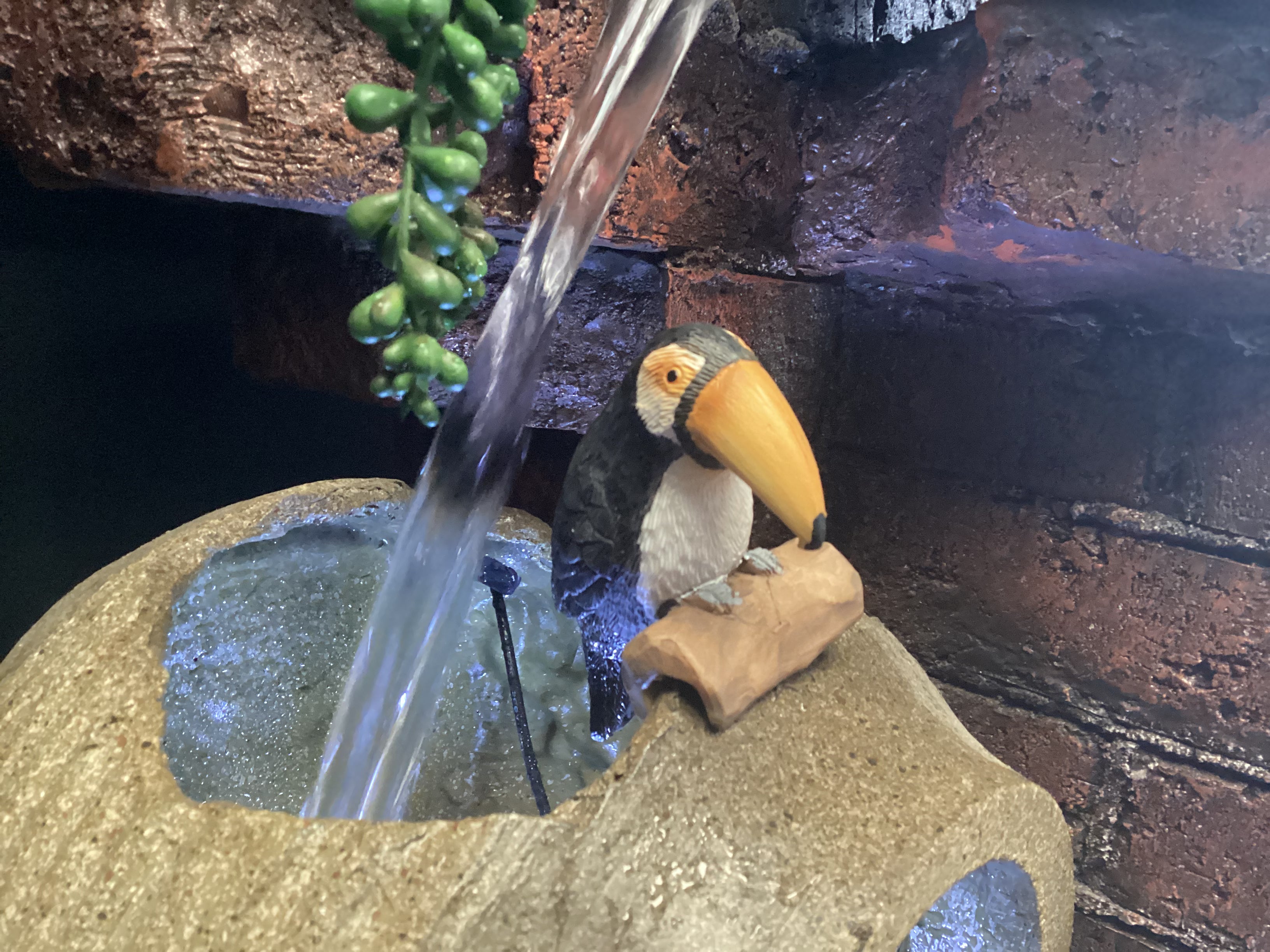 Rafael TOUCAN pot sitter