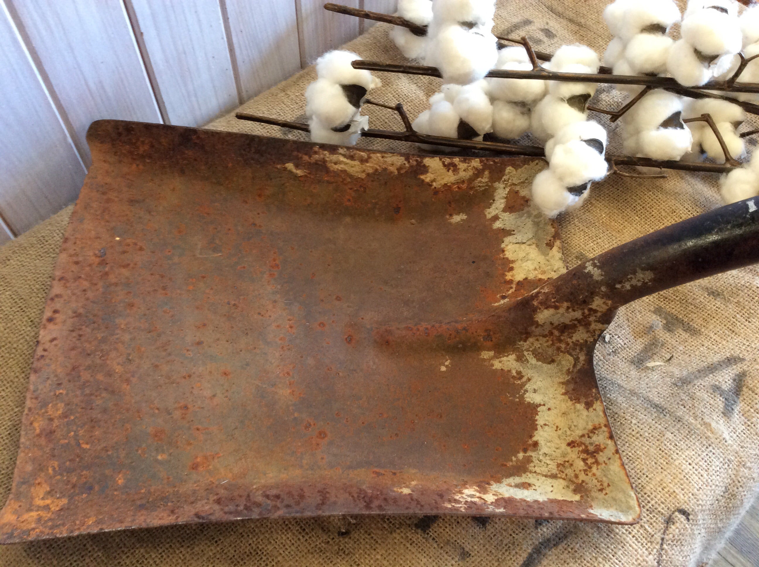 RUSTY Shovel
