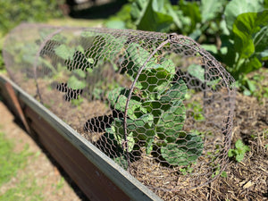 NEW Design Wire TUNNEL Cloche