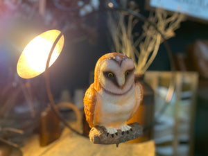 Barn OWL on ring