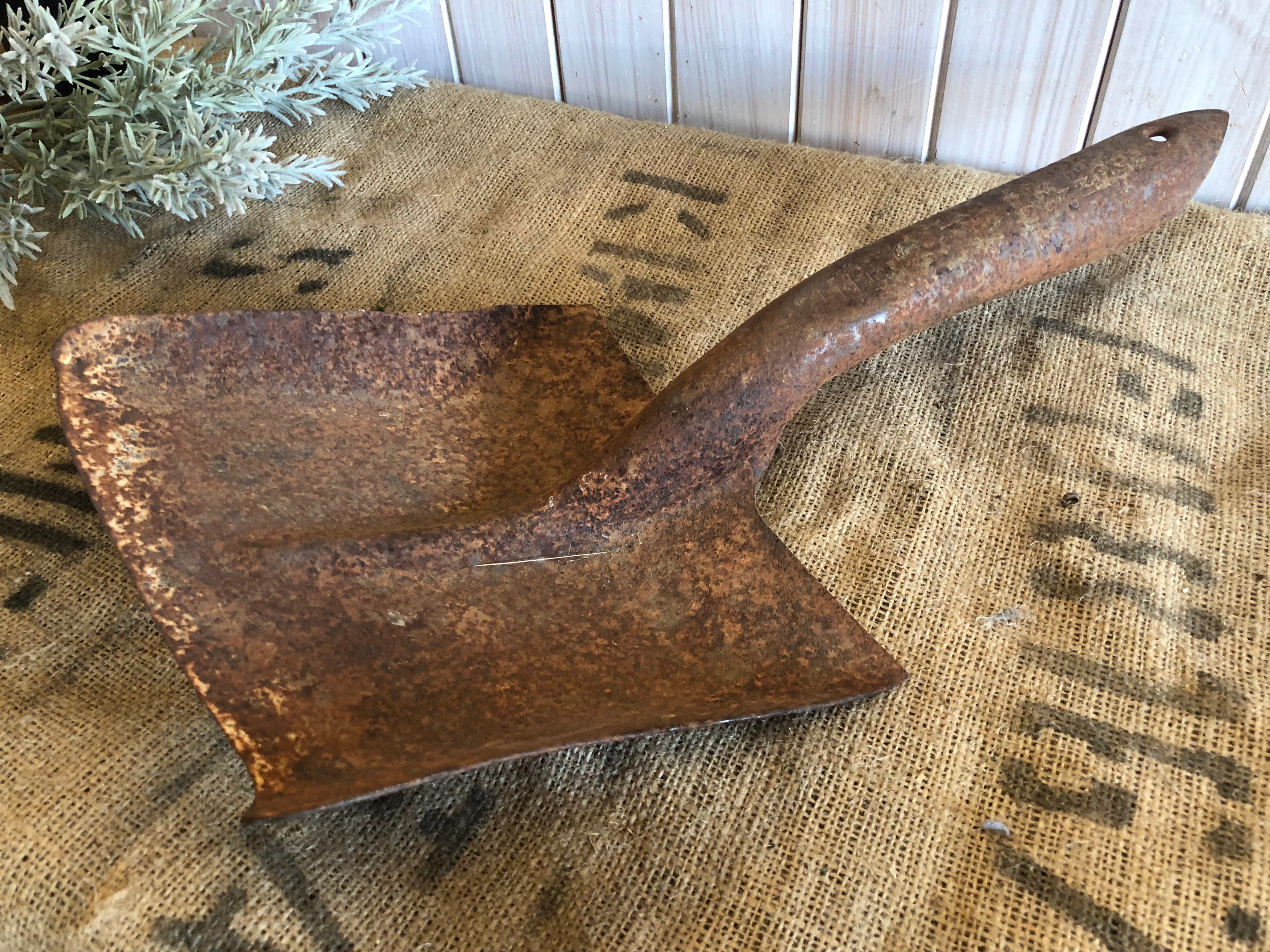 Vintage Rusty Shovel Head