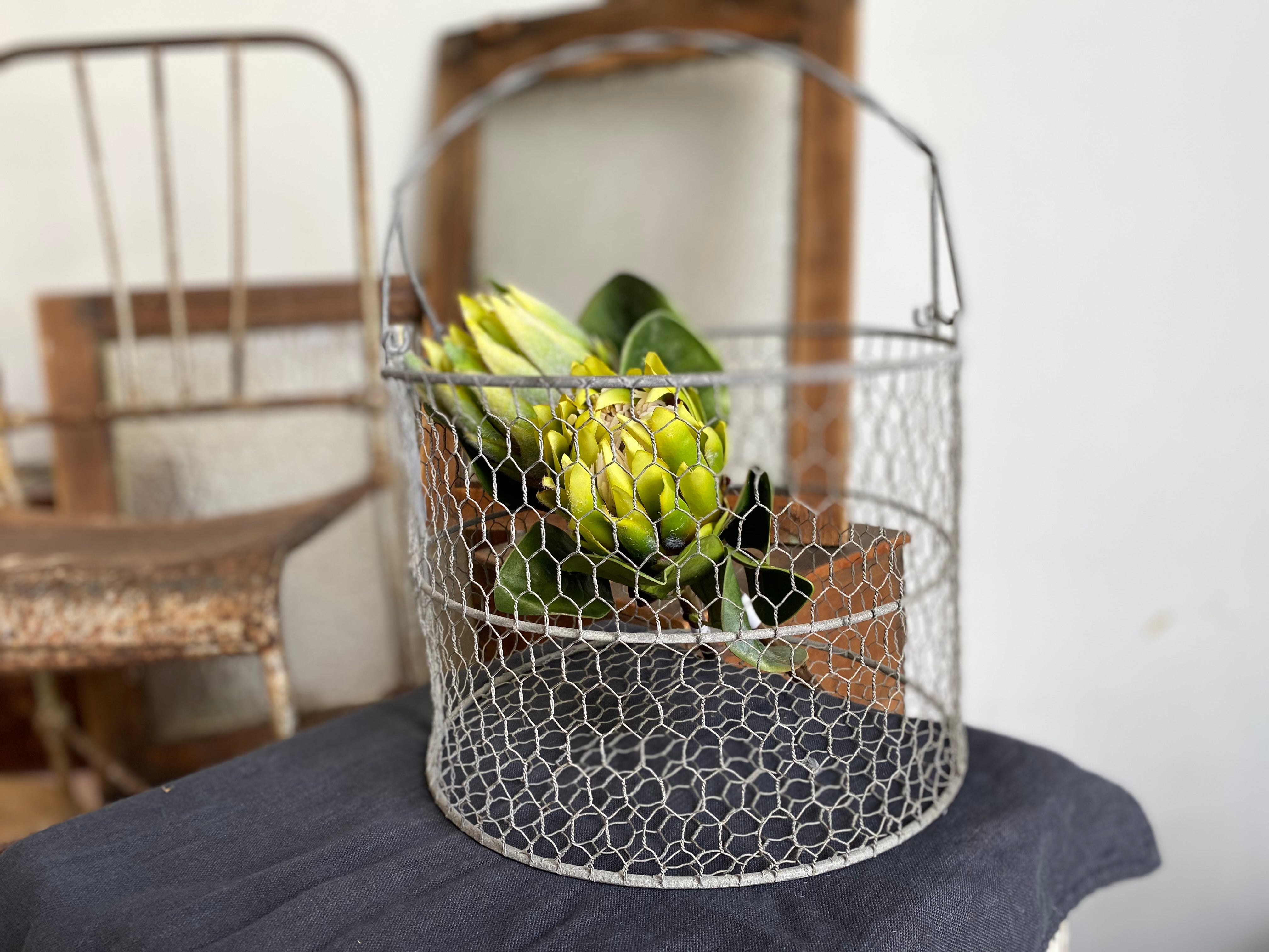 ROUND Wire Harvest / Market  Basket