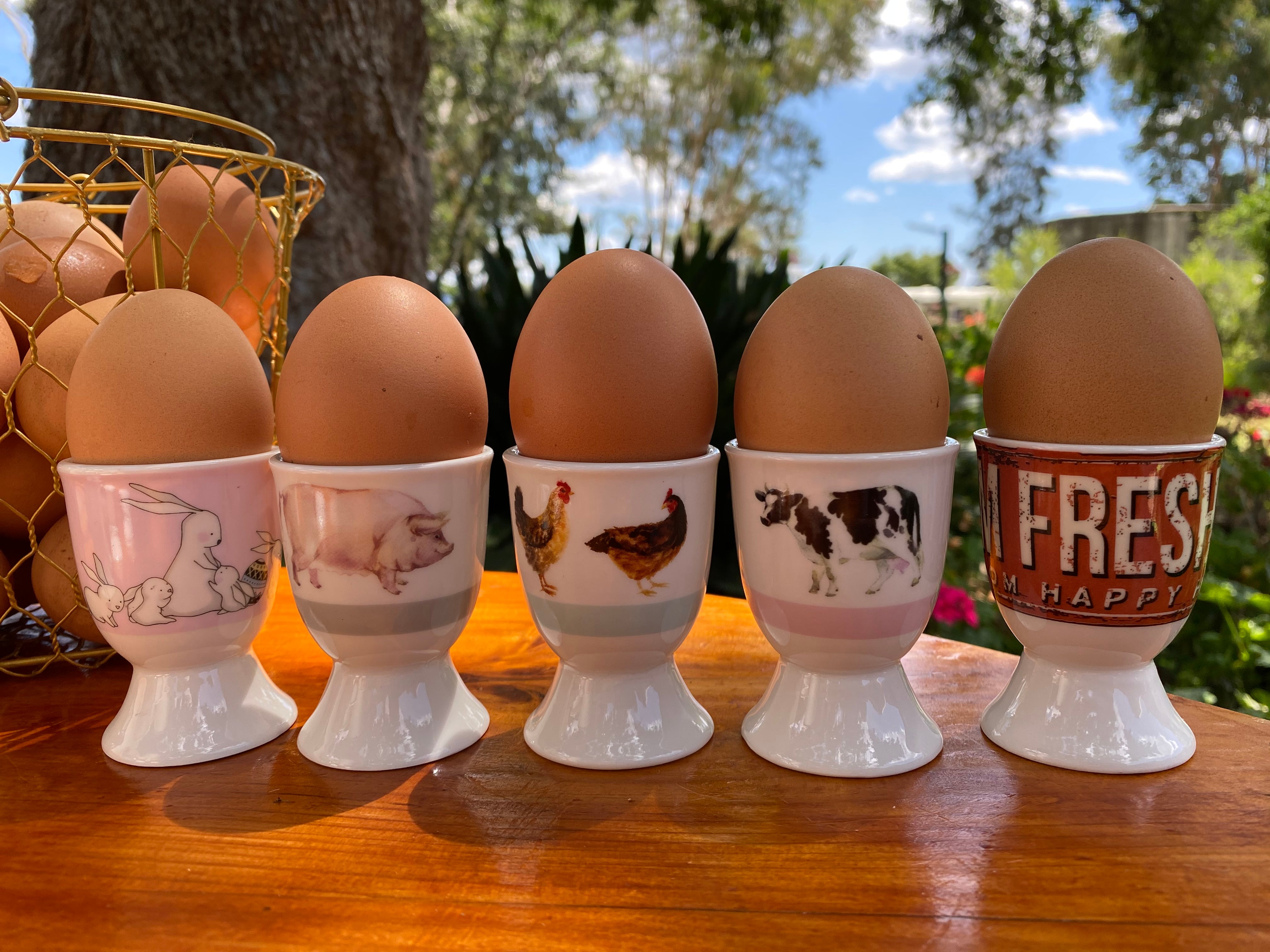 Ceramic Egg cup assorted