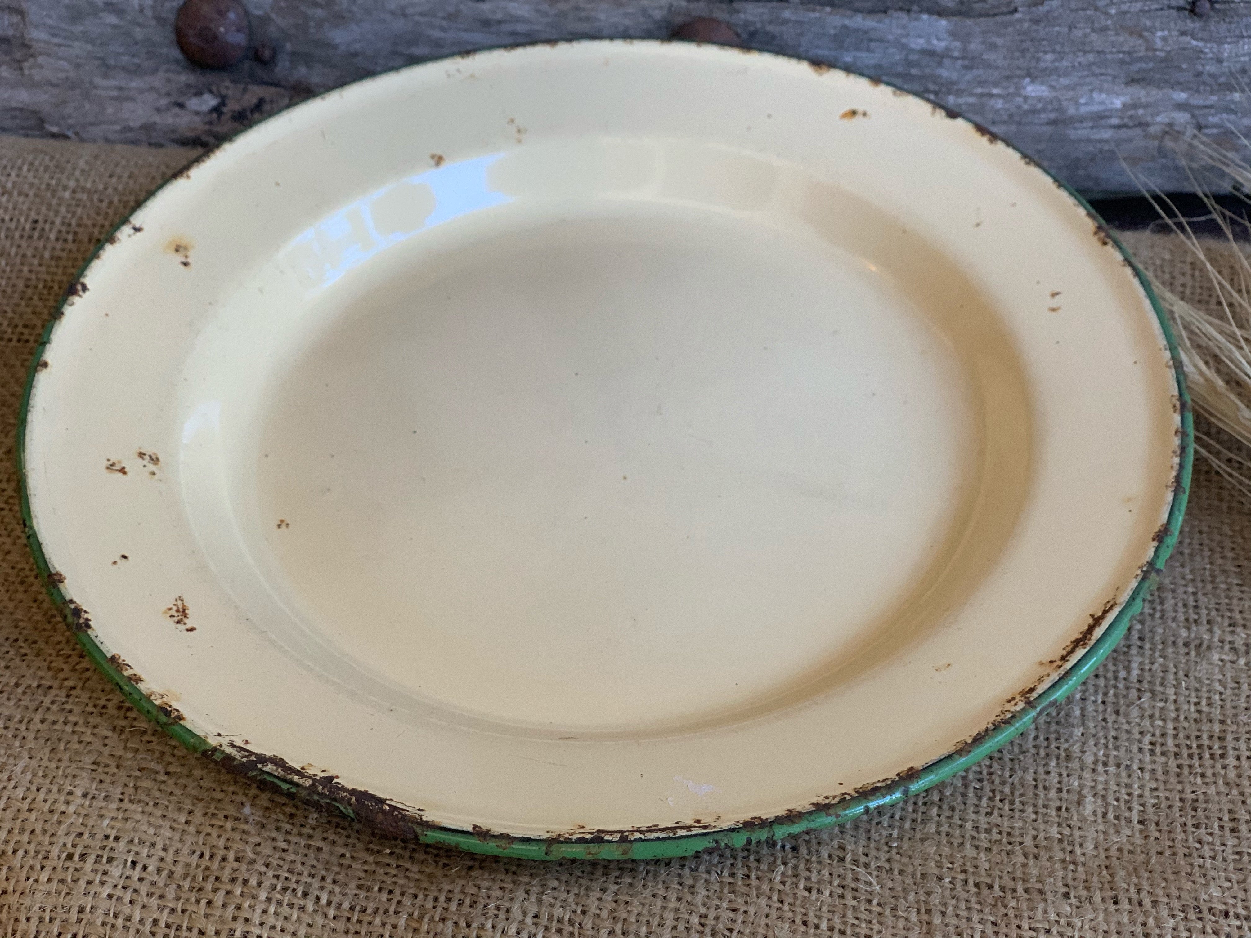 Set of 2 Vintage Enamel Plates