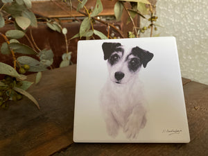 SCOOTER Jack Russell Ceramic Coasters set of 4