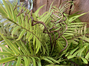 Faux Fern in Pot