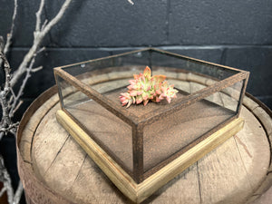 Table Centrepiece Planter