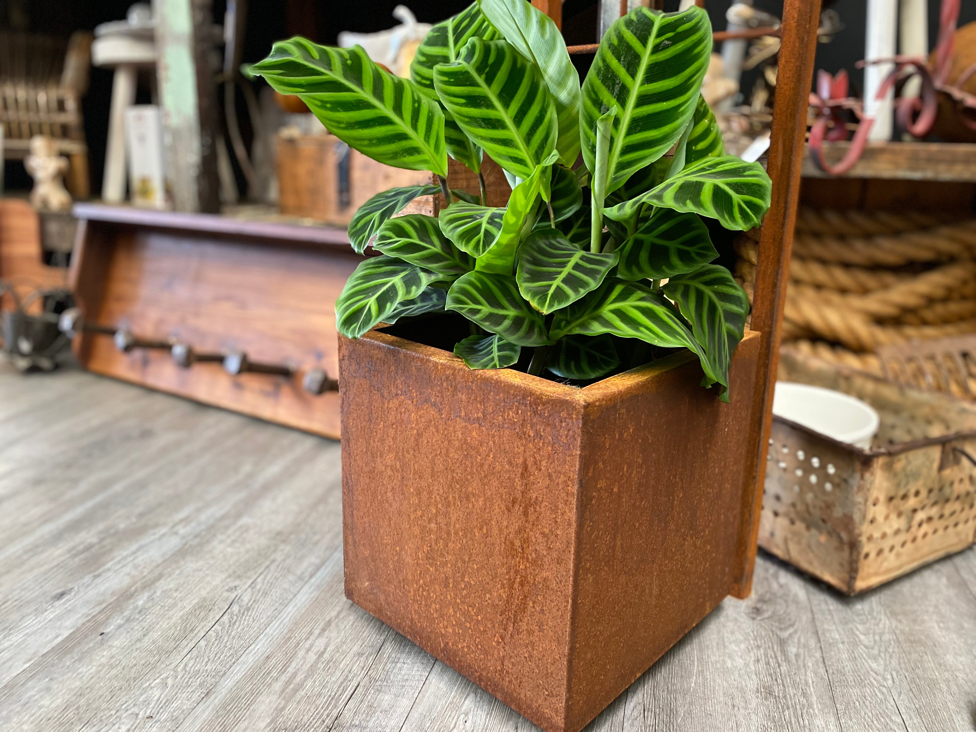 Rust CUBE Planter