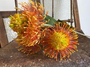 Pincushion Flower Stem 58cm Orange 3 stems