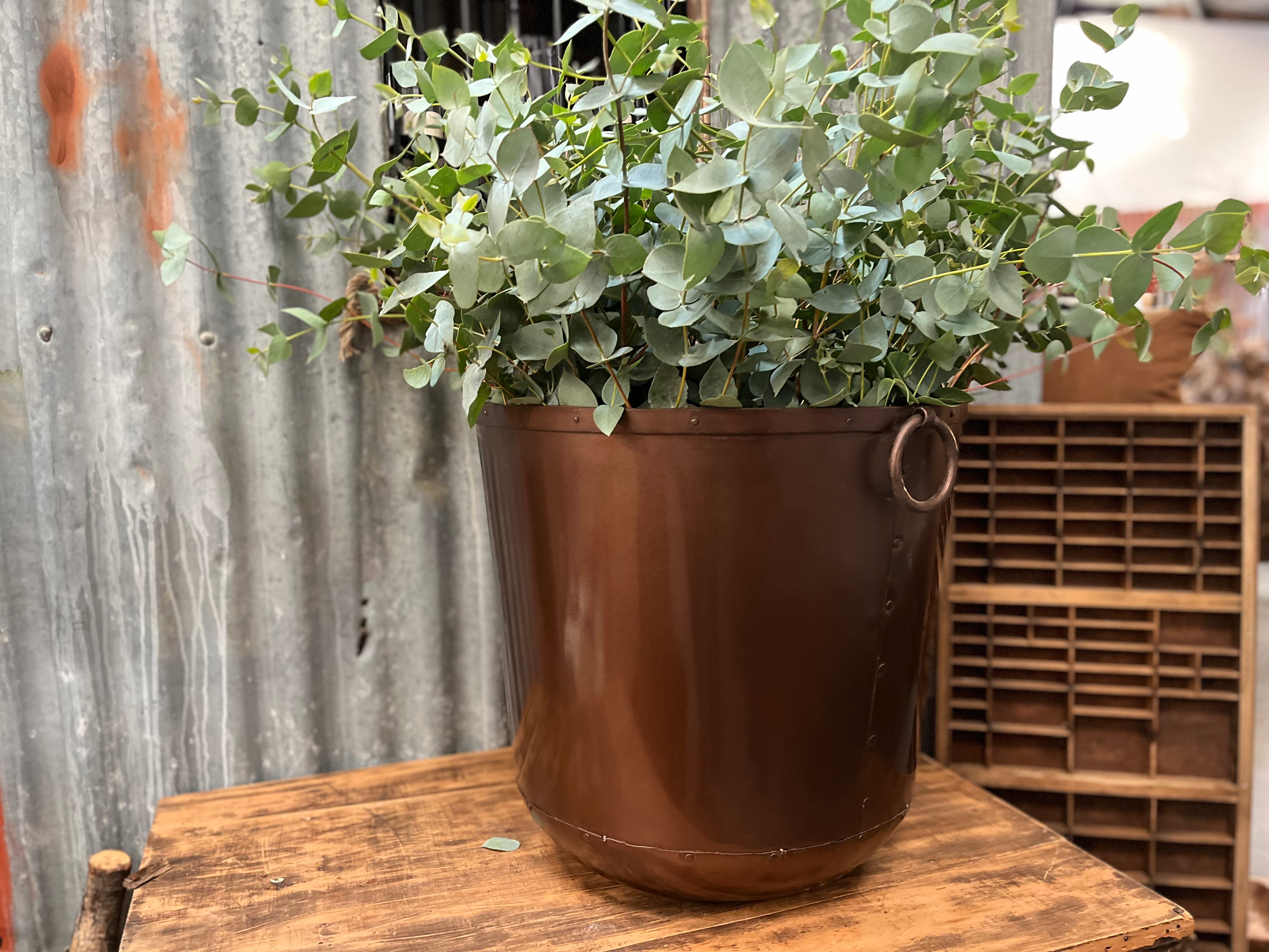 BRONZE Jumbo metal detailed Planter with rings