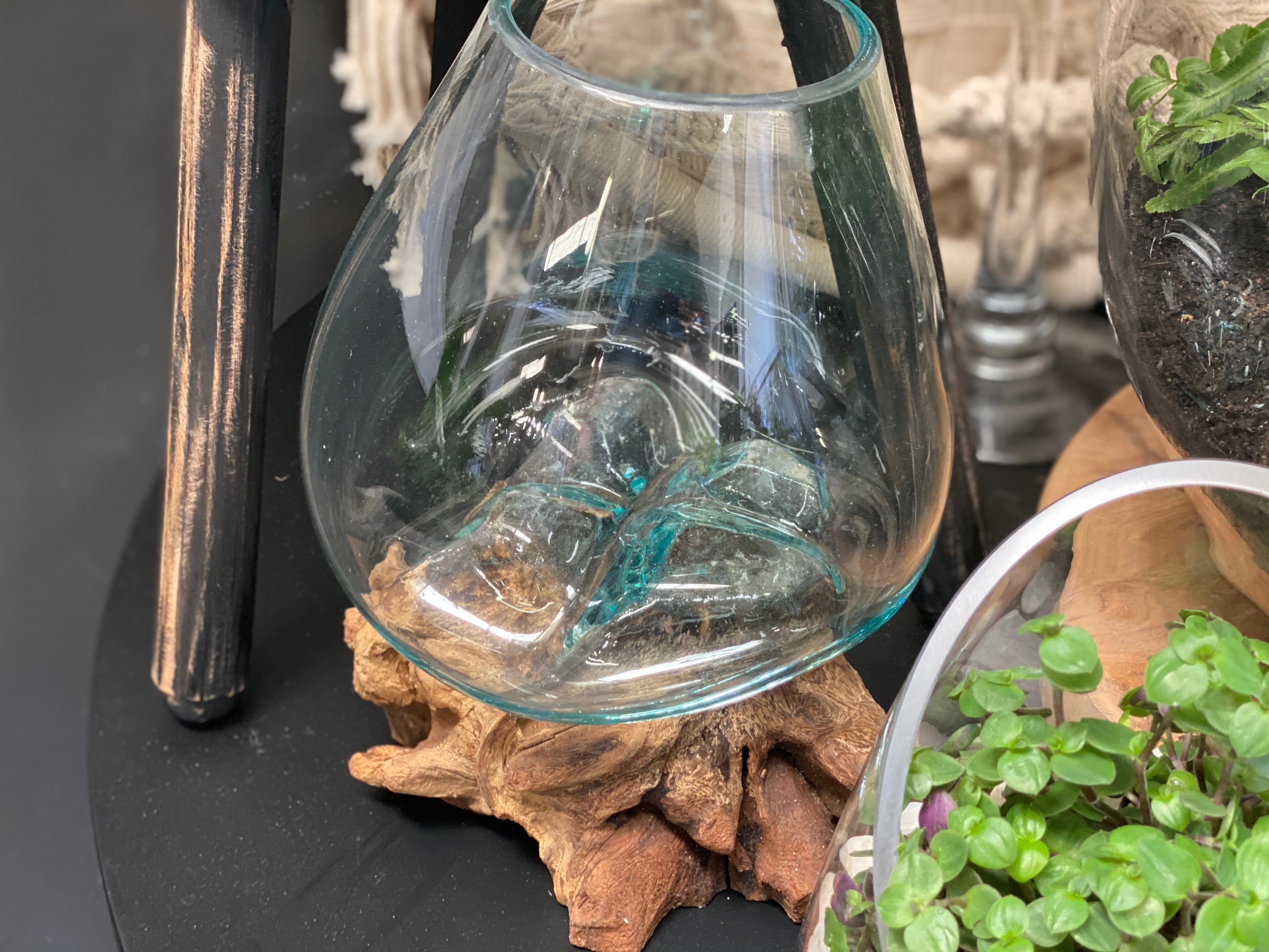Glass Terrariums