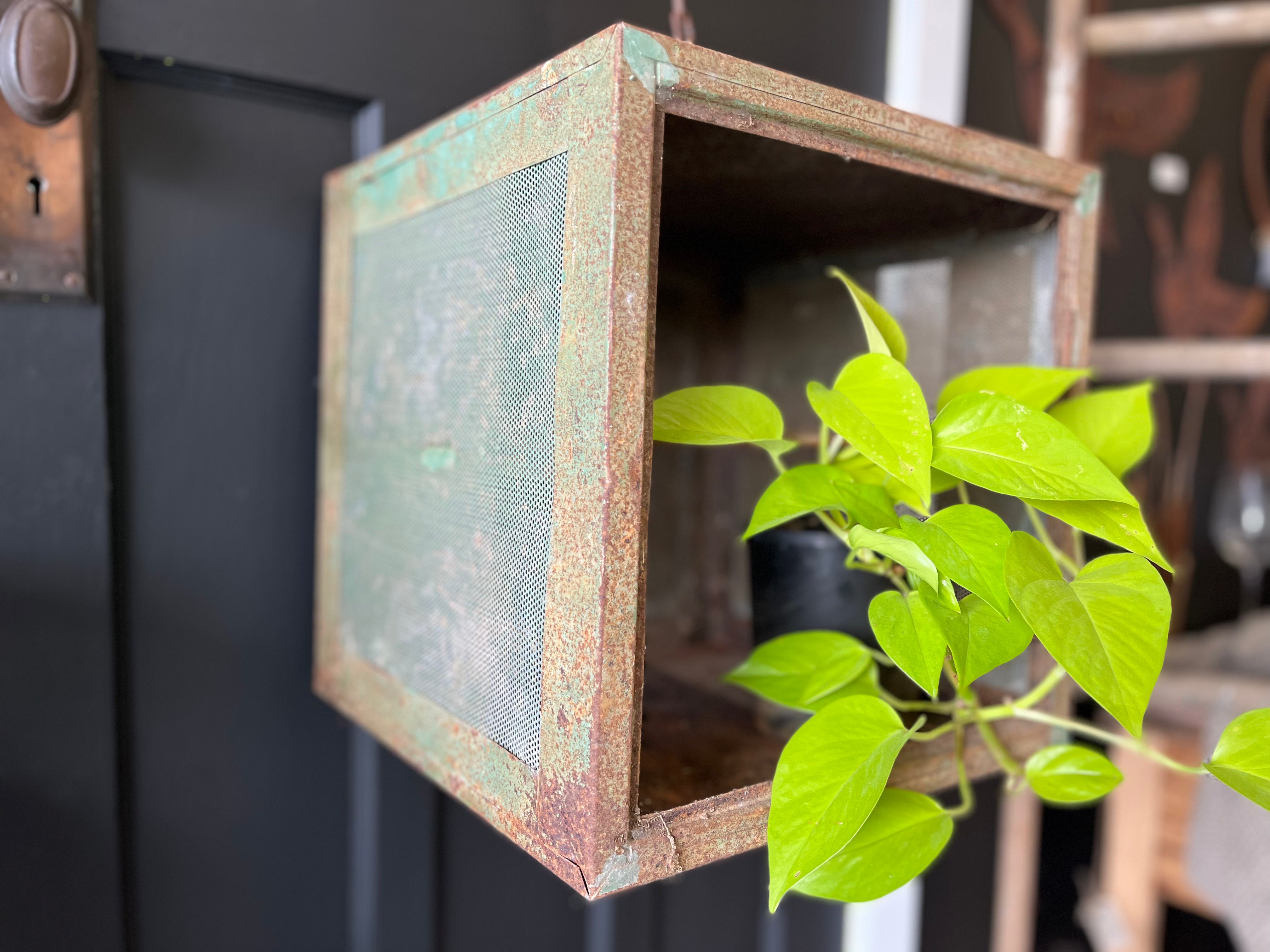 Vintage Meat Safe