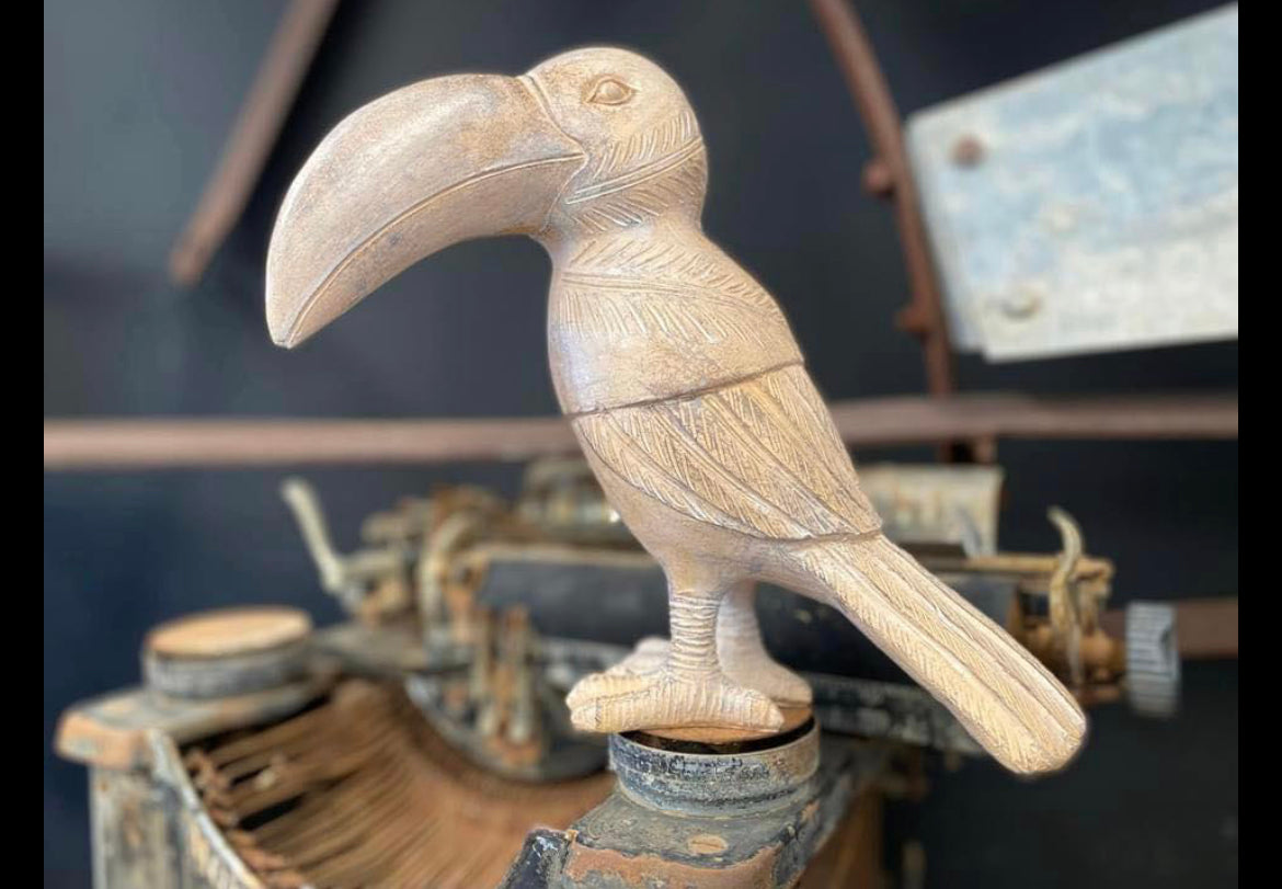 Timmy TOUCAN
