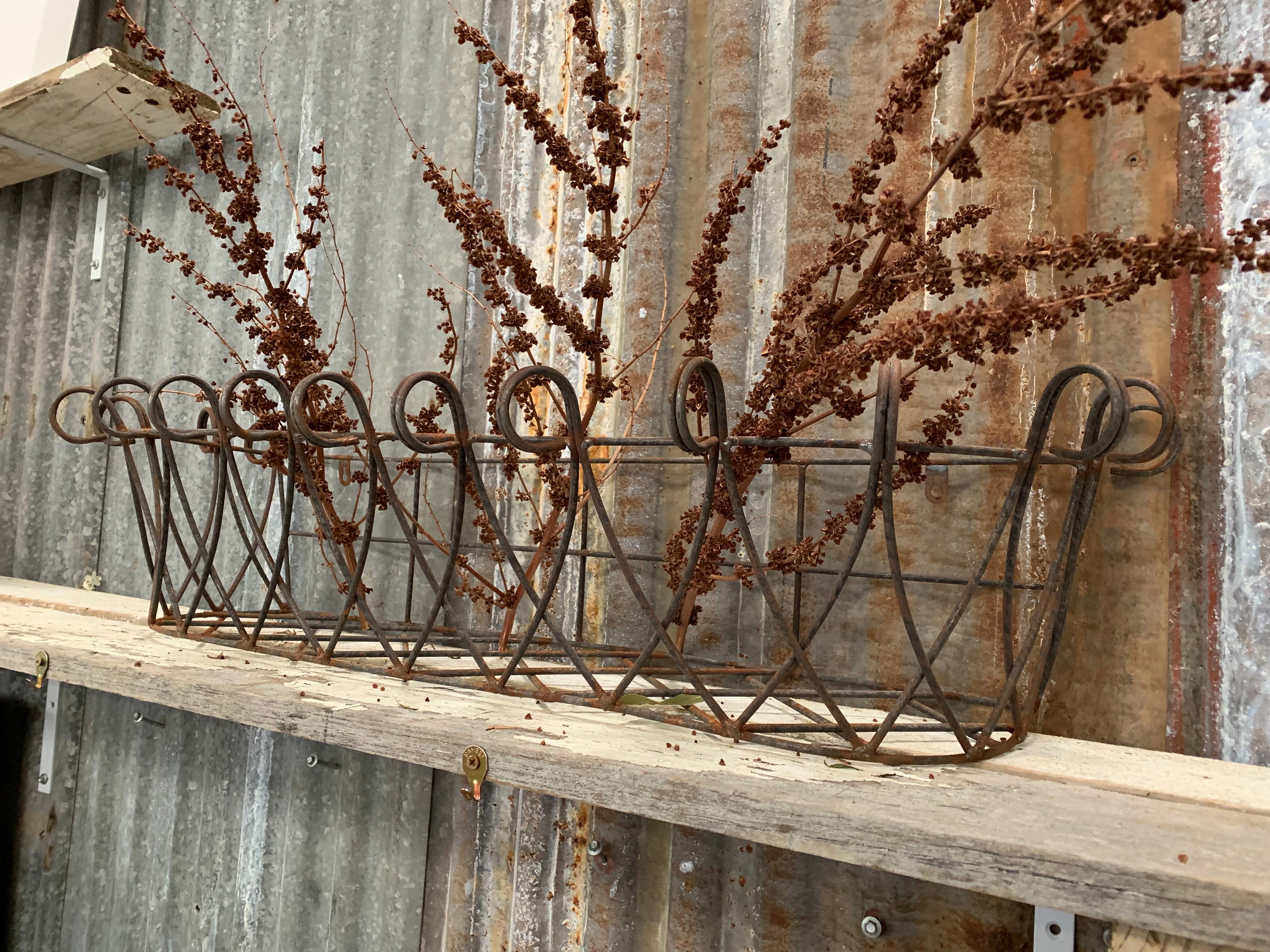 Rusty Window Basket