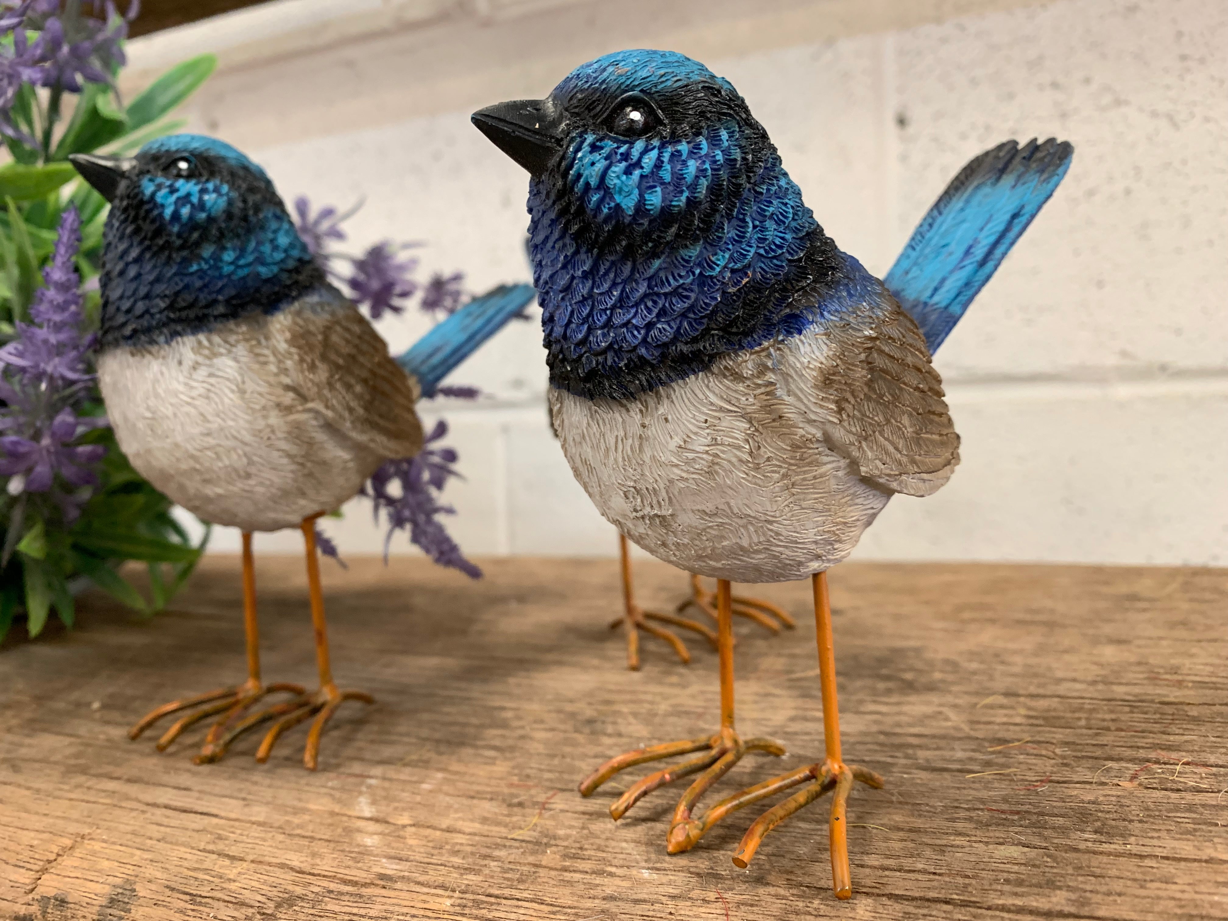 LARGE Mixed Wrens x 3