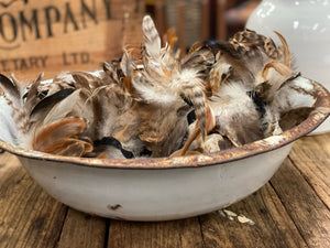 VINTAGE bowl/ planter
